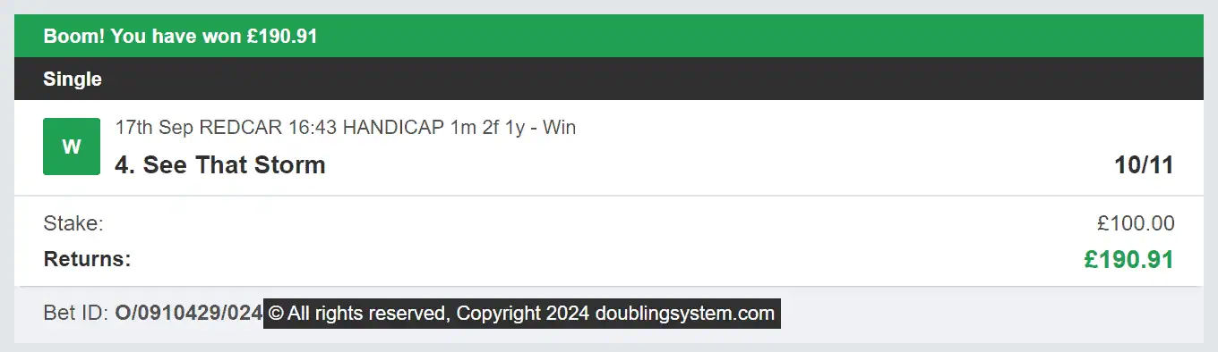 Doubling System - Winner - 2024-12-06