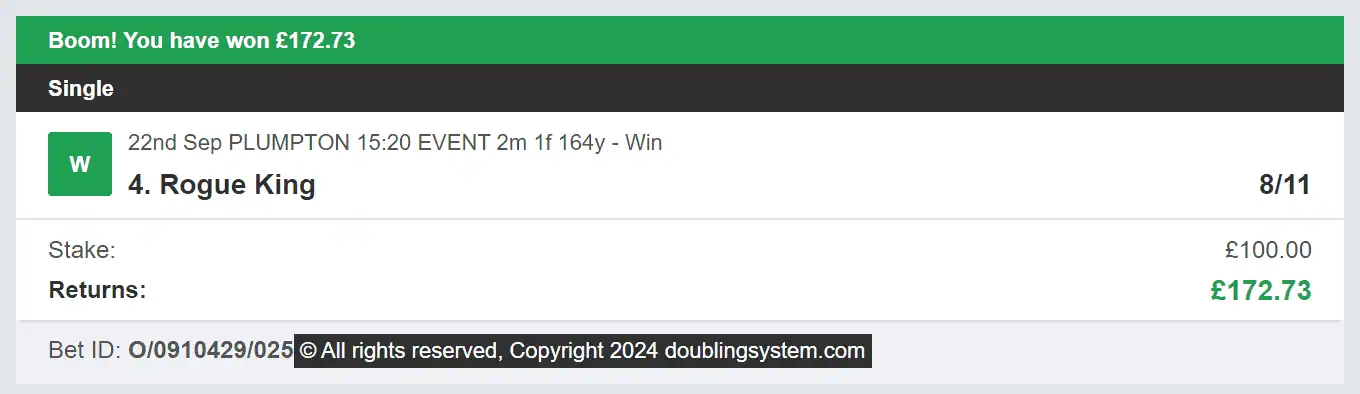 Doubling System - Winner - 2024-12-06