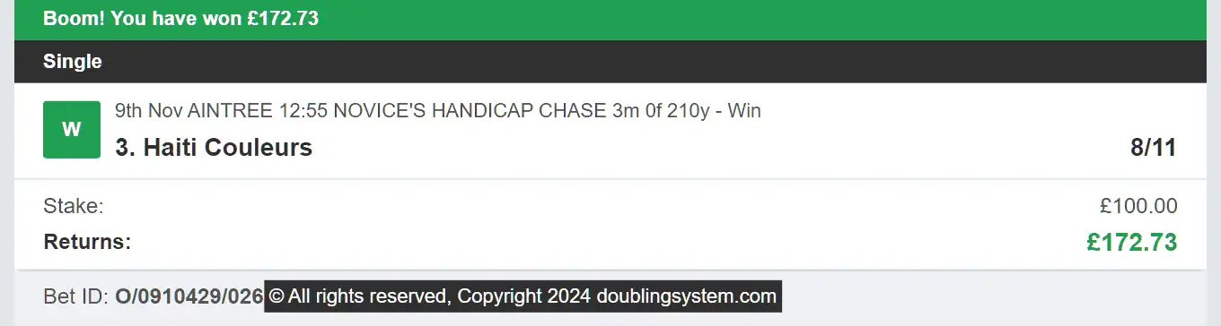 Doubling System - Winner - 2024-12-06