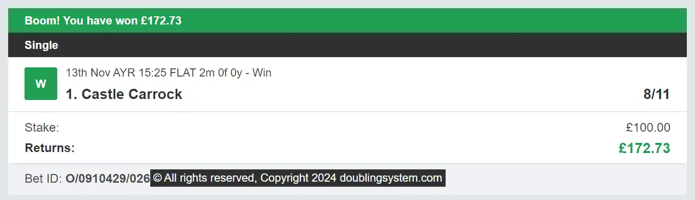 Doubling System - Winner - 2024-12-06