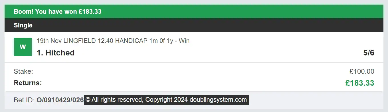 Doubling System - Winner - 2024-12-06